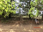 2012-10-02_20-53-39_CIMG0118.JPG