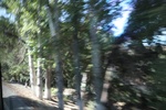 2019-10-16_14-19-17_4E8A6213.JPG
