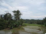 14558IMG_4924.JPG