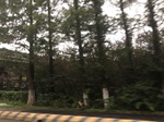 2017-09-10_20-39-13_4B980525-5196-4391-B9C8-06D13B5BB5BB.jpg