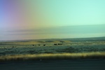 2022-01-21_16-37-42_4E8A6524.JPG