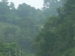 2012-09-08_19-26-16_RIMG0049.JPG