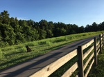 2017-07-02_16-02-12_838F0451-5A79-4E97-A347-6CC6A1ED4121.jpg