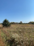 2020-10-07_13-53-52_2020-10-7-13-52-9.jpg