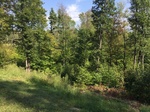 2017-09-06_17-11-59_North.jpg