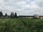 2017-09-12_12-55-26_3D3CD3D2-85F4-4322-83DB-42F061403D78.jpg