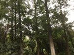 2017-09-11_22-25-50_0E3500B8-C7D4-4BF6-8E70-D48EFD9391BD.jpg