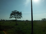 5868100_1546.JPG