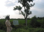 7785gt031a-cropland-rainfed-mixed-crops.jpg