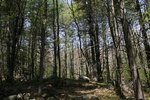 247IMG_4143.JPG