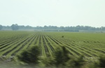 2022-05-26_14-05-32_C5C04261-384A-4DC7-B998-34FDDDA42271_1_201_a.jpeg