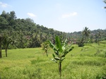 15850IMG_4391.JPG