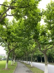 2020-06-11_23-31-02_2020-6-12-11-8-5.jpg