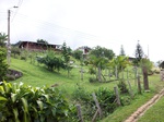5504100_0871.JPG