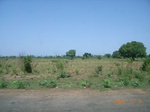 8861nigeria 072.jpg