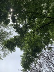 2020-08-25_20-32-58_70713179-789B-4571-8C55-AA6A4CAFA82D.jpeg