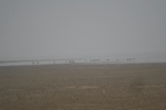 4123IMG_8758.JPG