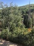 2018-09-03_13-58-58_C6292F88-C739-45B0-92ED-D2195BA6F792.jpg