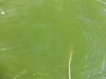 2012-09-21_14-25-58_CIMG3173.JPG