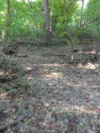2012-09-24_10-40-19_DSC03098.JPG