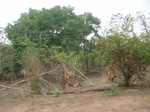 3902RIMG0206.JPG
