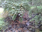 2012-09-03_16-25-15_0903120857.jpg