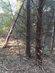 2020-10-06_18-49-40_20201006_180043.jpg