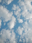 2017-09-25_09-13-34_U.JPG