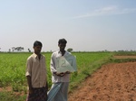 7726gt0127a-cultivated-rainfed-irrigated-mixed-crops.jpg
