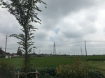 2017-09-12_12-54-46_780533FC-3547-4AF0-90D3-9E094E2F3211.jpg