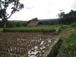 14204IMG_4543.JPG