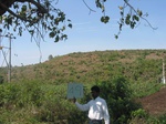 9287gt049a-shrubland-cropland.gif
