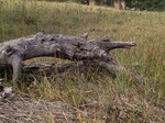 2012-10-04_13-59-49_CO-JF-157_0664.jpg