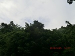 2012-09-26_20-49-16_CIMG0987.JPG