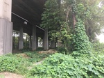 2017-09-10_07-07-10_F40940F0-AB30-43D5-A10B-CAD30DE63EA6.jpg