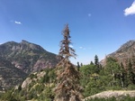 2017-09-06_17-50-07_north 9_4_17.jpeg
