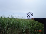 10666gt-088-wetland-valley-bottom-seasonal-01.jpg