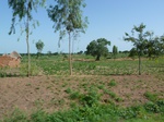 19450P1010297.JPG