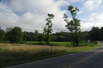 2017-07-05_14-17-46_North facing.jpg