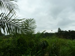 18187P1000022.JPG