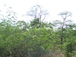1794627042008(78).JPG