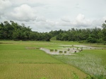 21317DSC00702.JPG