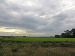 40746CIMG6719.JPG