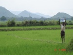 74840327b-irrigated-canal-rice-singlecrop.jpg