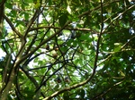 2012-10-17_20-32-18_385.JPG