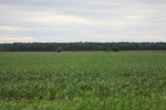 2022-06-11_17-54-53_69EE16A0-1857-4698-ADAD-6B1F5D80ECAE.jpeg