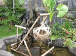 14781IMG_5173.JPG