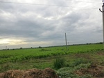 40745CIMG6718.JPG