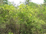 502320042008(50).JPG