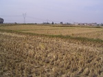 3187R0017221.JPG